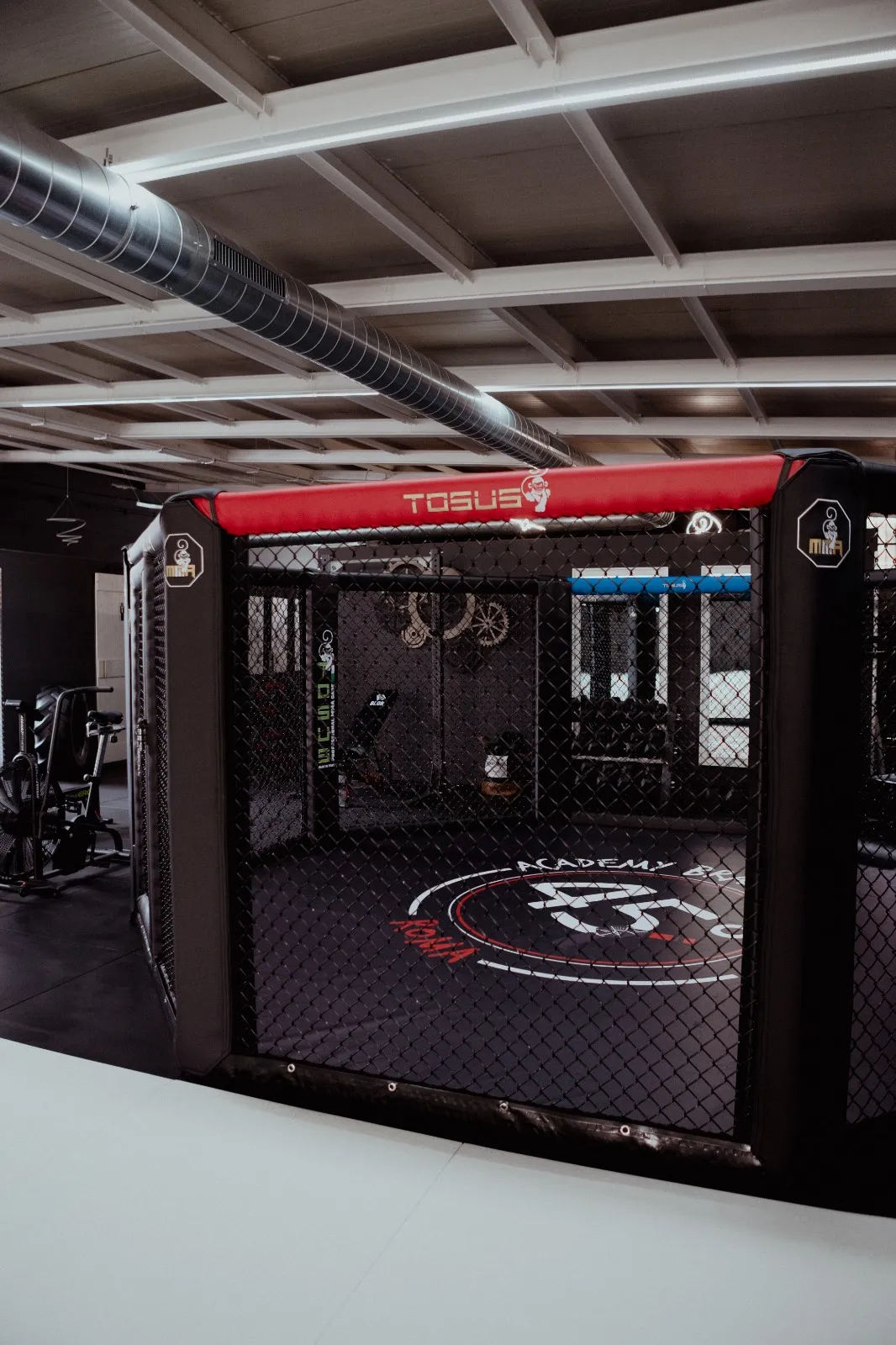Gabbia MMA 45 Gradi Academy
