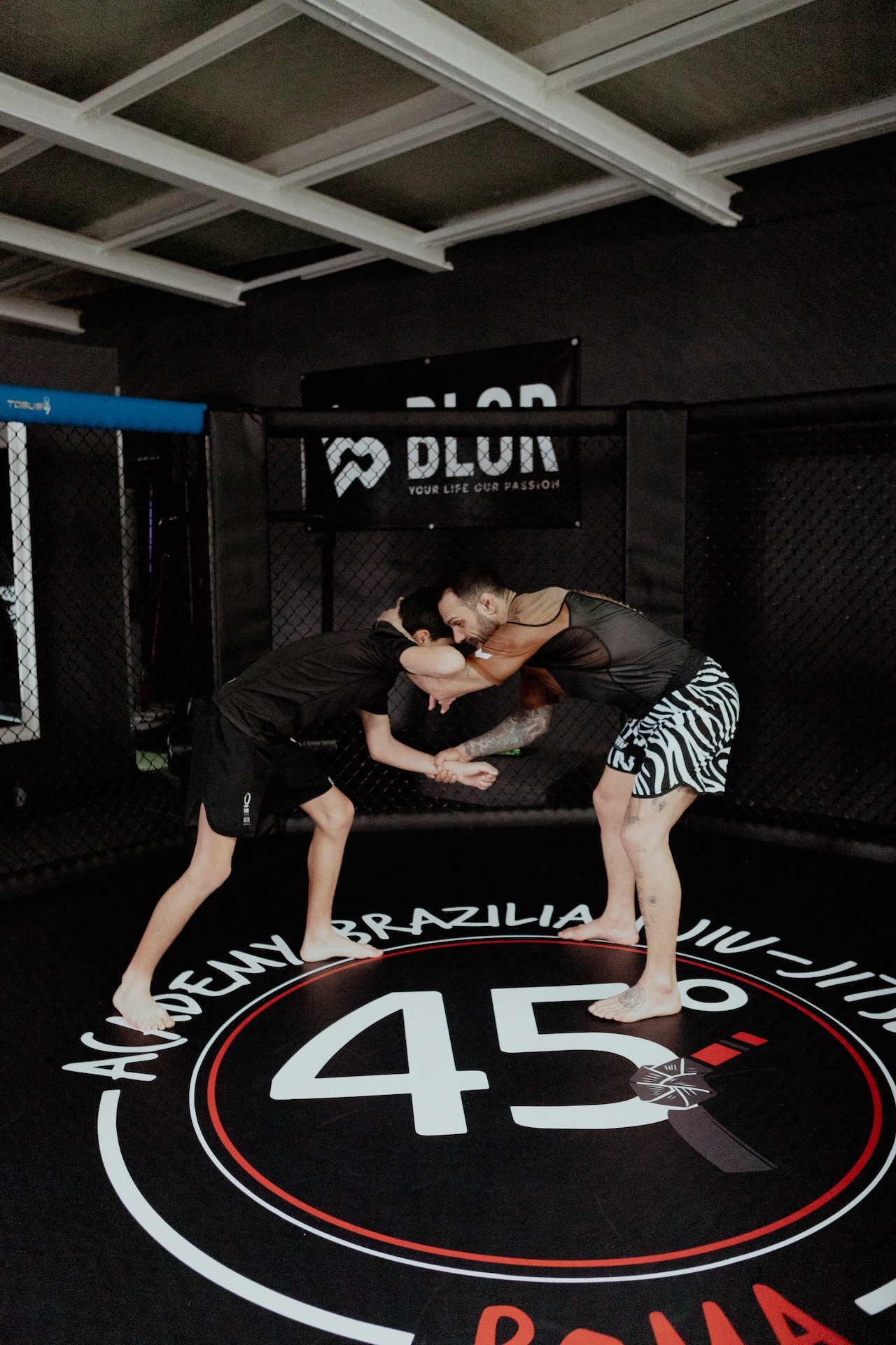 Allenamento MMA in gabbia