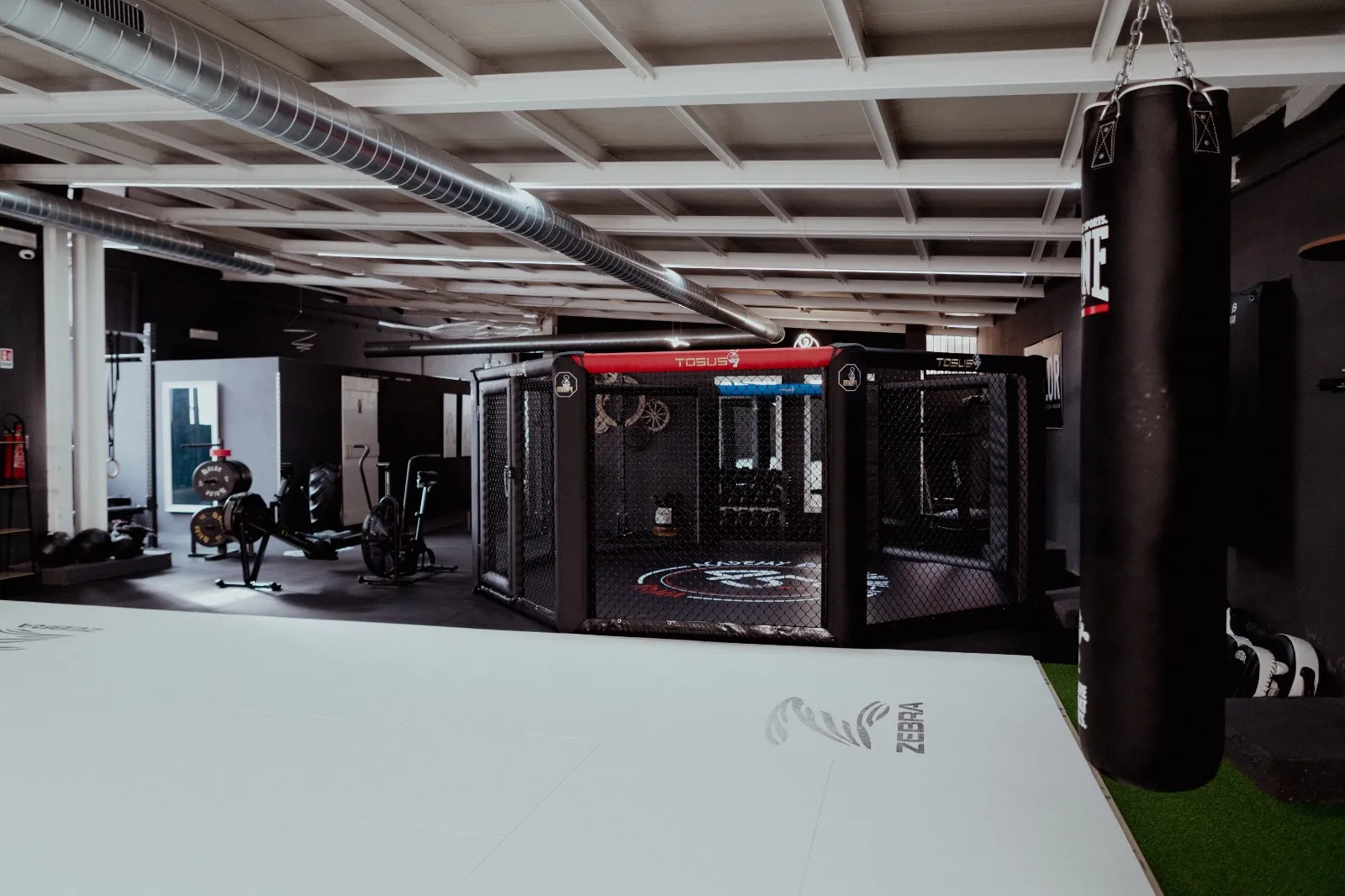 Tatami e gabbia MMA 45 Gradi Academy